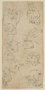 Studie av dyrehoder.n.d. av Claude Gillot