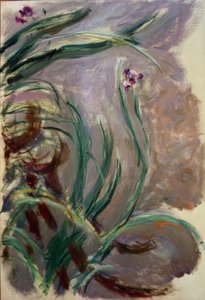 Iris (Iris) av Claude Monet