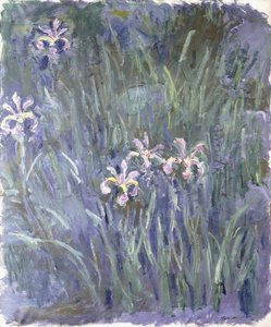 Iris, ca. 1914-1917 av Claude Monet