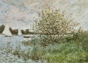 Bredden av Seinen nær Argenteuil av Claude Monet