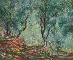 Oliventrær i Moreno-hagen; Olivenlund i Moreno-hagen, 1884