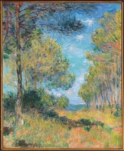 Pine Tree Path ved Varengeville; Allee de sapins Varengeville, 1882 av Claude Monet