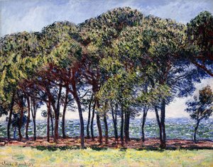 Pines, Cap d"Antibes, 1888 av Claude Monet