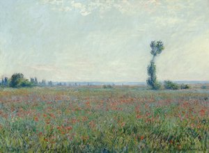 Valmuemark, 1881 av Claude Monet