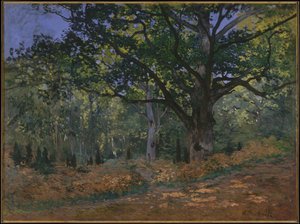 Bodmer-eiken, Fontainebleau-skogen, 1865 av Claude Monet