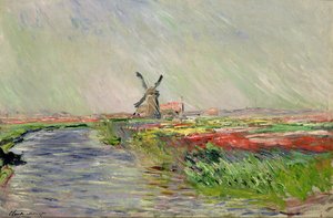 Tulip Field i Holland av Claude Monet