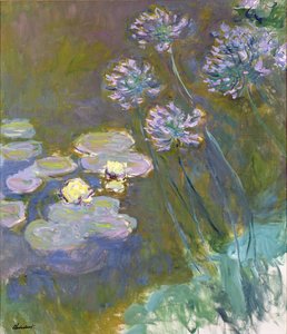 Vannliljer og Agapanthus av Claude Monet