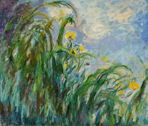 Gule iris, ca. 1925. av Claude Monet