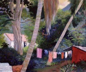 Tørkevask, Guadeloupe