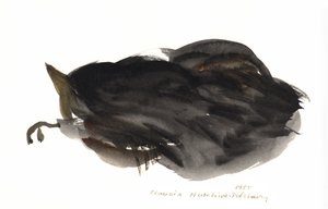 Sleeping Cat, 1985 (akvarell) av Claudia Hutchins Puechavy