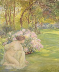 Flora