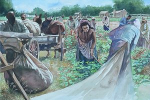 Tilbakebrytende, 2010 av Colin Bootman
