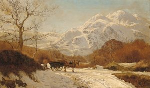 Samler ved i et alpint landskap