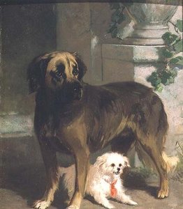 En Mastiff og en Bichon av Conradyn Cunaeus