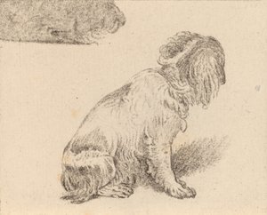 Sittende hund, 1777. av Cornelis Brouwer