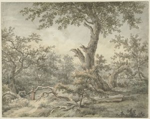 skoglandskap av Cornelis Buys