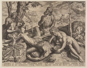  av Cornelis Cort