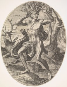 Cyparissus fra settet The Rural Gods, 1565. av Cornelis Cort