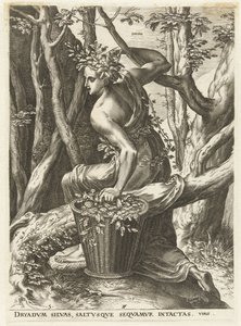 Dryas (tittel på objekt) Gudinner og nymfer (serietittel) av Cornelis Cort