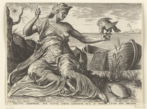 Følelsen (Tactus) The Five Senses (serietittel) av Cornelis Cort