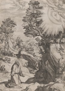 St Francis Penitent in the Wilderness, 1575. av Cornelis Cort