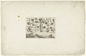 Rad med blomster over landskapet Blomster og landskap (serietittel) av Cornelis Danckerts (I)