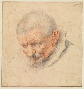 Hodestudie av en gammel mann av Cornelis Dusart