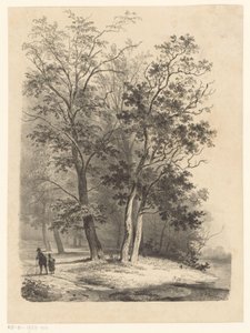 To skikkelser som går i en skog