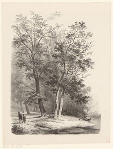 To skikkelser som går i en skog