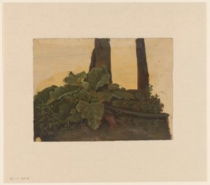 Planter ved foten av en trestamme av Cornelis Johannes de Vogel