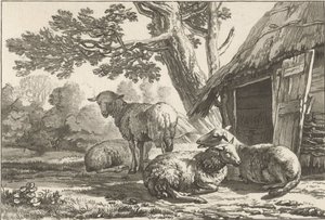 sauefjøs