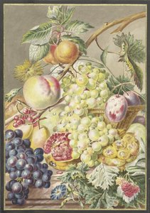 stykke frukt