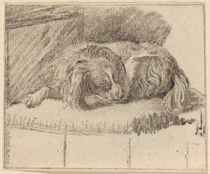 Løgnende hund av Cornelis Ploos van Amstel