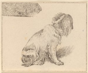 Sittende hund