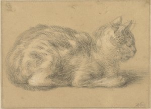 Sittende katt, til høyre av Cornelis Saftleven (possibly)