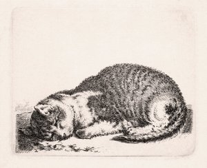 Sovende katt, ca. 1607-81 av Cornelis Saftleven