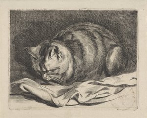 liten katt av Cornelis Visscher (II)