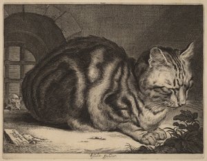 Den store katten