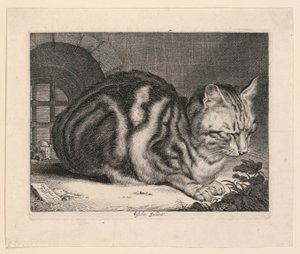 Den store katten av Cornelis Visscher