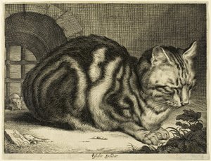 Den store katten av Cornelis Visscher