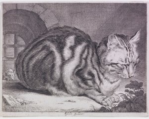 Den store katten