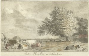 Kyr i en eng utenfor Haarlem, på Schooten (tittel på objekt) av Cornelis van Noorde