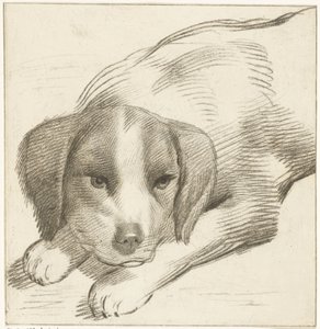 liggende hund