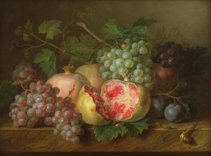 Stilleben av granatepler, druer og plommer på en marmorhylle (panel)
