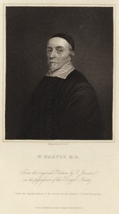 William Harvey av Cornelius Janssen van Ceulen