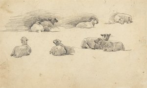 Studie av sauer av Cornelius Varley