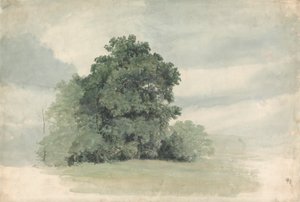 Studie av trær ved kanten av et felt av Cornelius Varley