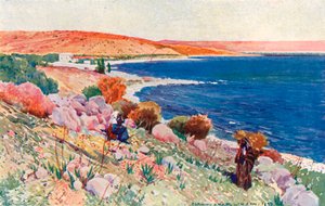 Stedet Betsaida