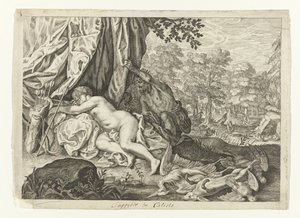 Jupiter og Callisto Metamorfosen van Ovidius (serietittel)