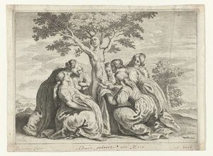 Fødsel av Adonis Metamorphoses of Ovid (serietittel) av Crispijn van de Passe (II) (workshop of)